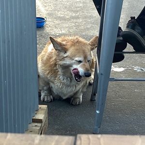 Meet your Posher, Sean